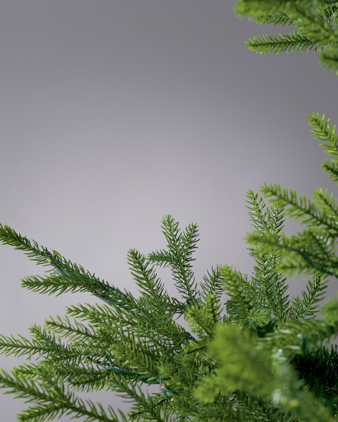 Load video: Set of 5 Snow-Flocked Cypress Picks, 40 cm