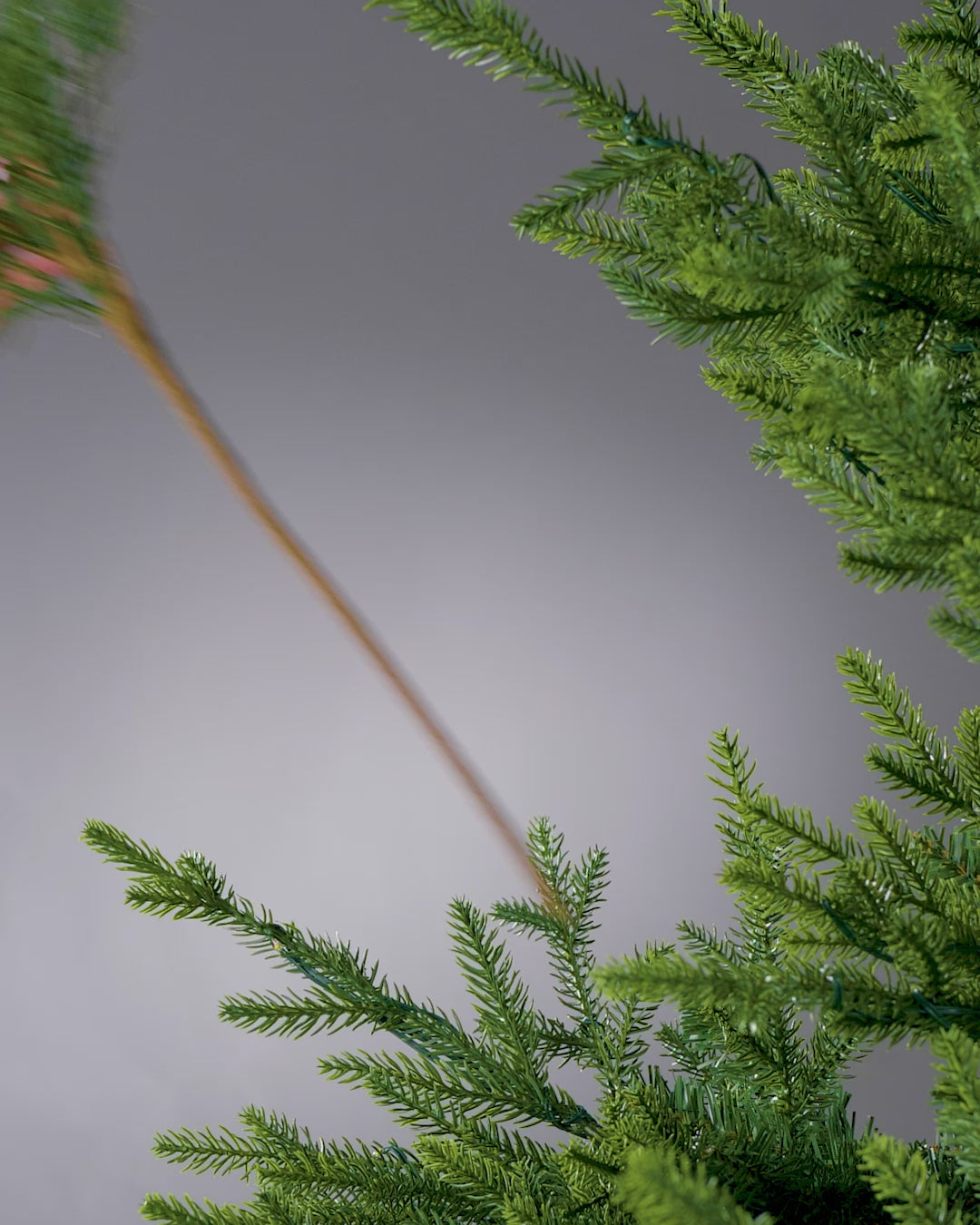Load video: Cedar Pine Pick, 70 cm