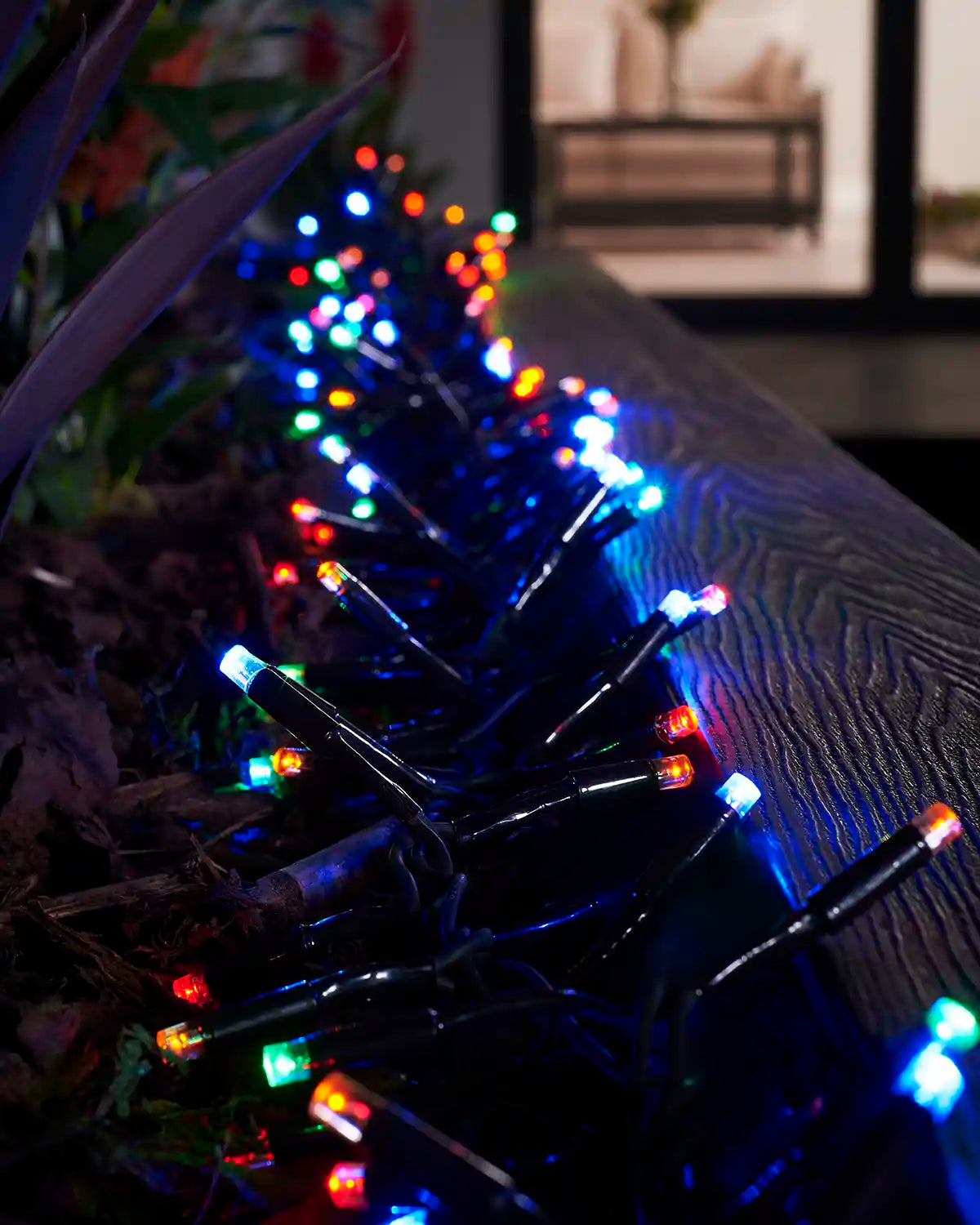 Close-up of multicolour cluster lights on black cable along a wooden garden border.