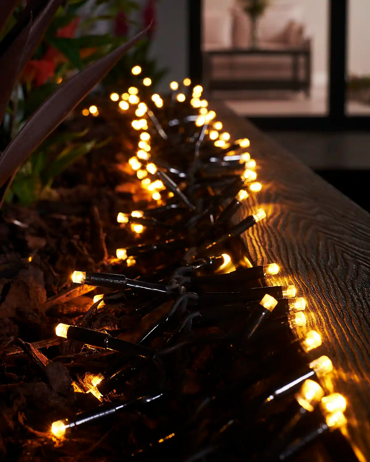 Close-up of warm white cluster lights on black cable along a wooden garden border.
