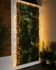 Warm white cluster lights on black cable around an outdoor green wall feature.