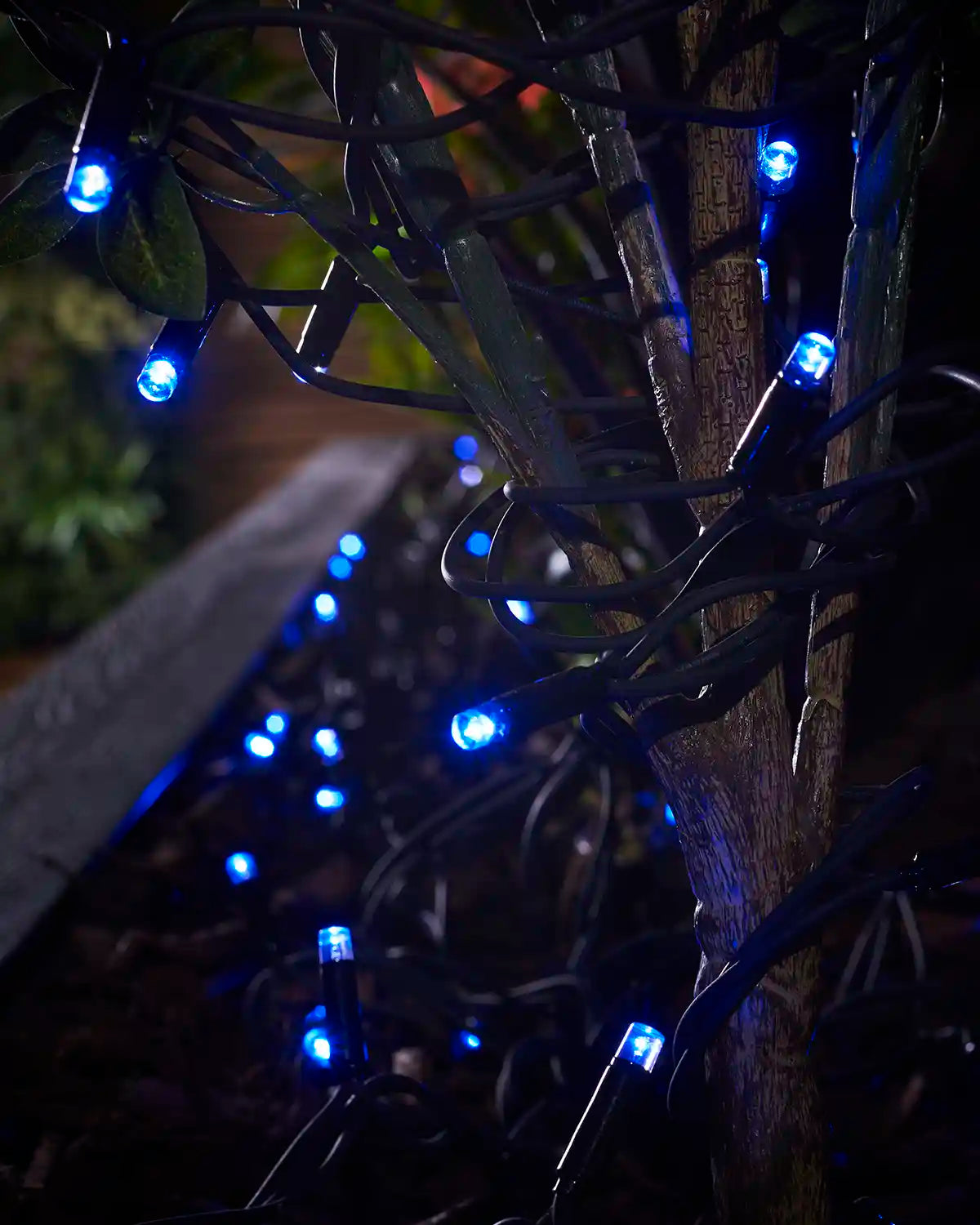 Blue LED string lights wrapped around a small tree trunk in a planter.