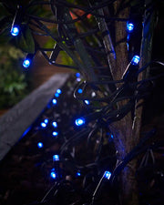 Blue LED string lights wrapped around a small tree trunk in a planter.