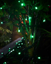 Green LED string lights wrapped around a small tree trunk in a planter.