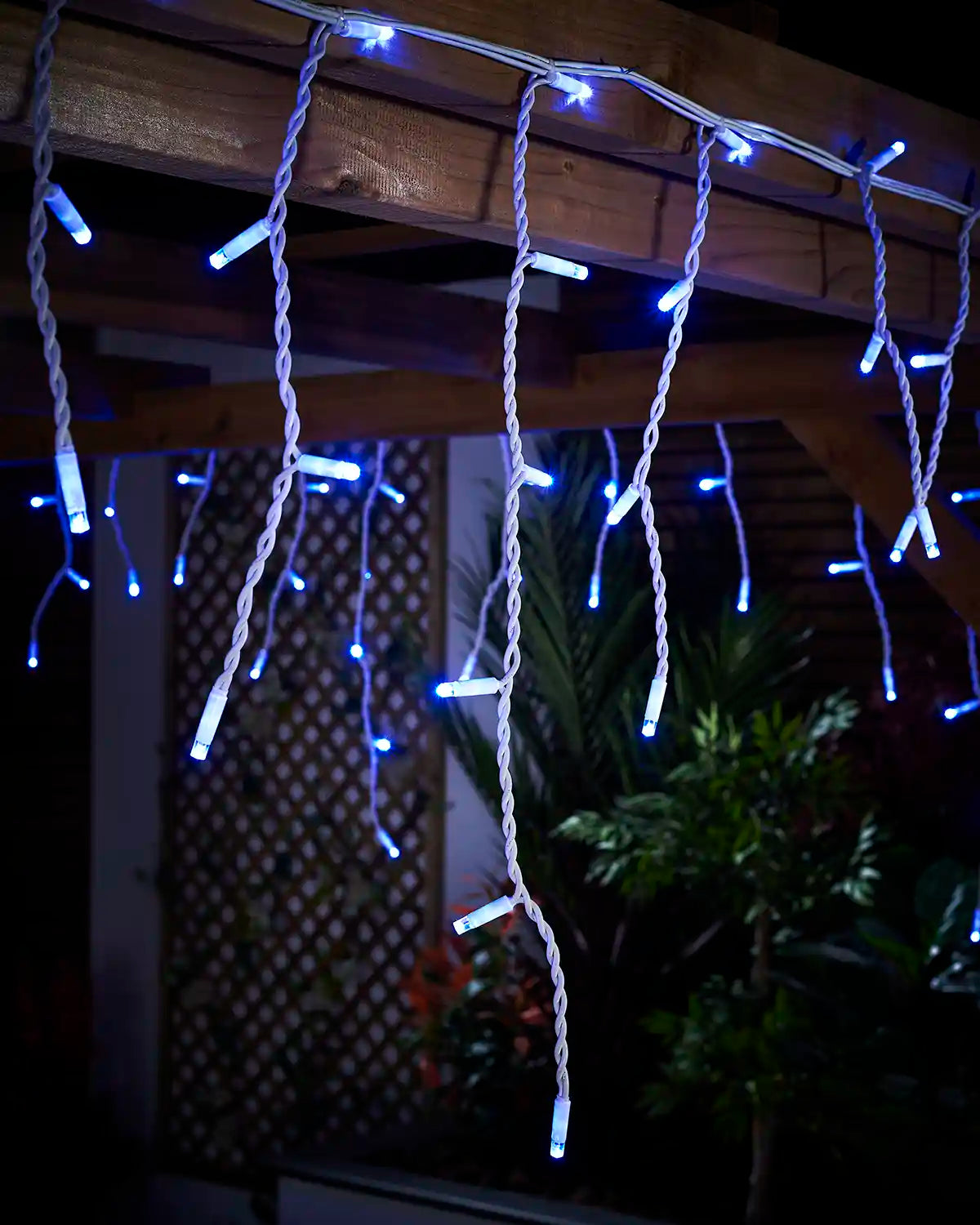 Blue icicle lights hanging from a wooden pergola with garden planting behind.