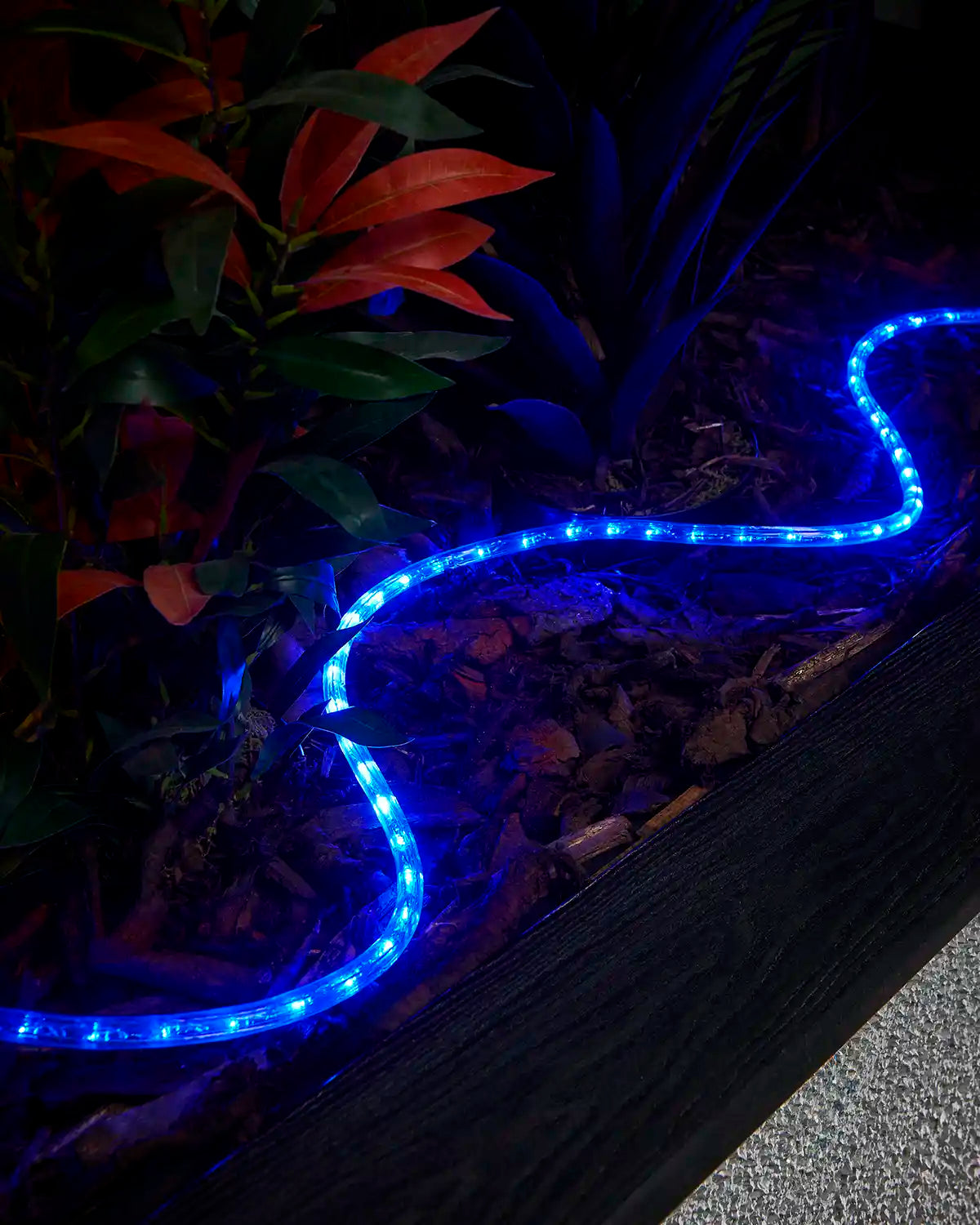 Blue rope light laid through bark around plants beside a raised garden border.