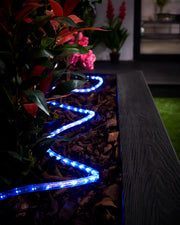 Blue Pro Series rope light arranged in a curved line through an outdoor planter at night.
