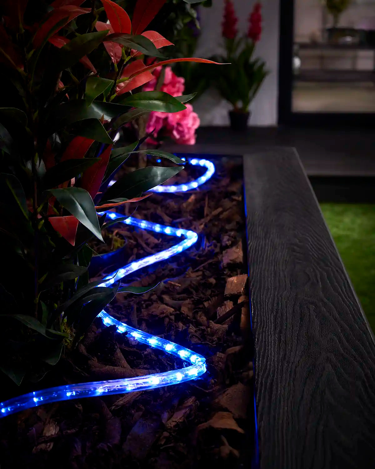 Blue Pro Series rope light arranged in a curved line through an outdoor planter at night.