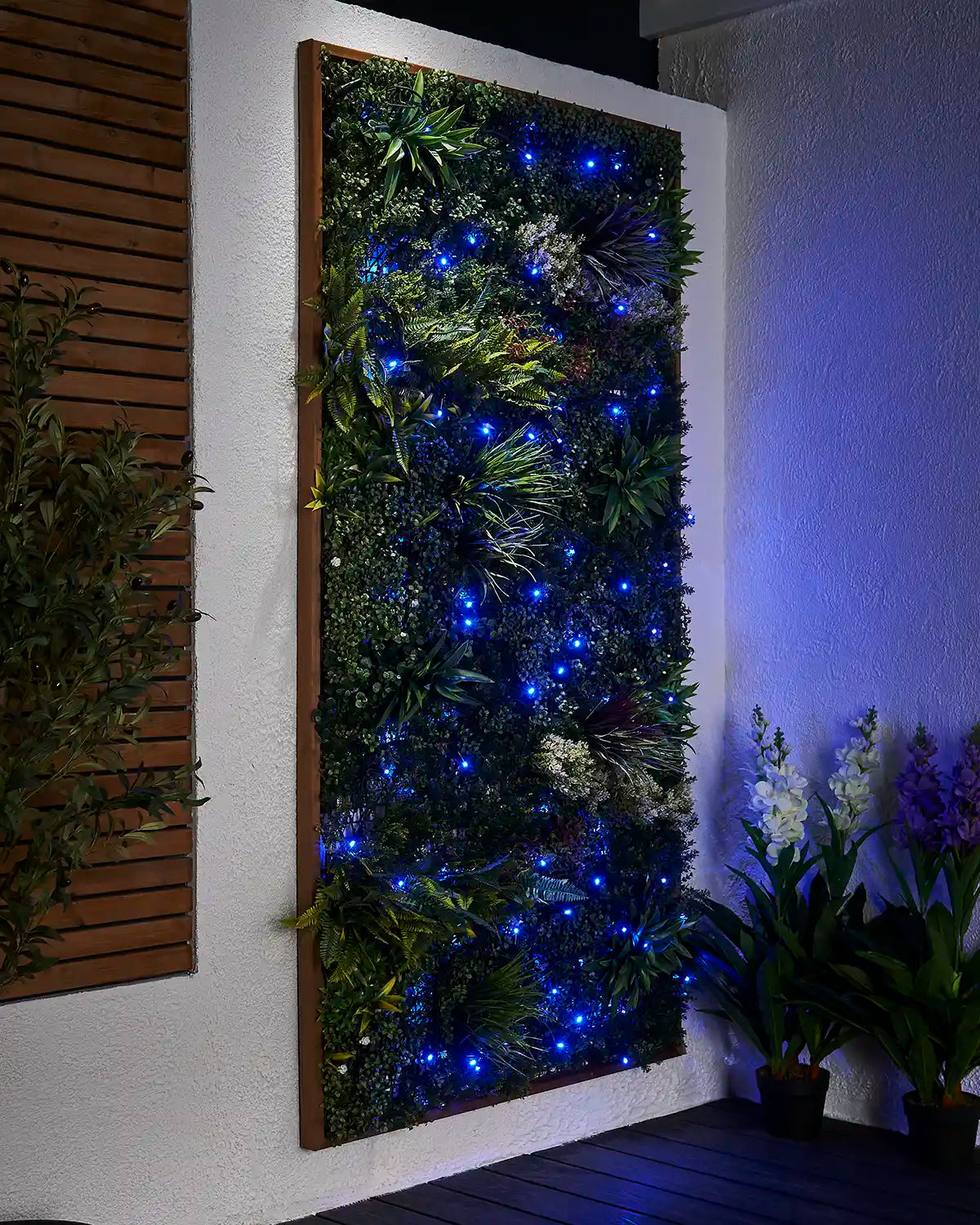Blue LED string lights arranged across a living wall garden display.