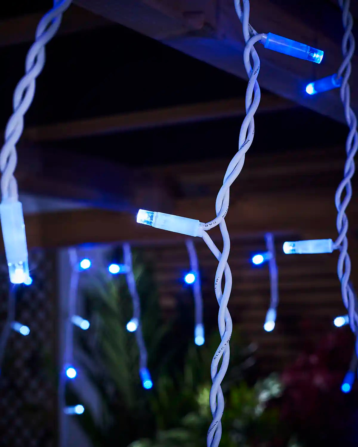 Close-up of blue and white LED icicle lights on white twisted cable.