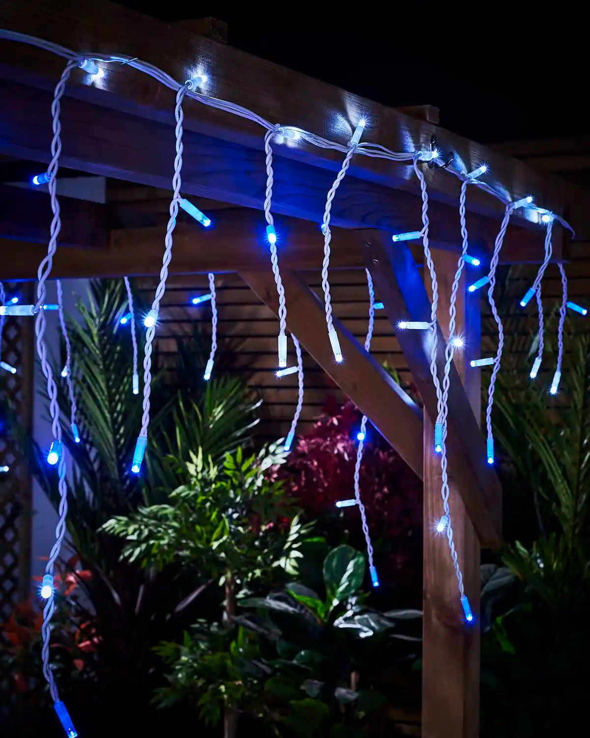 Blue and white icicle lights hanging from a wooden pergola with garden plants behind.