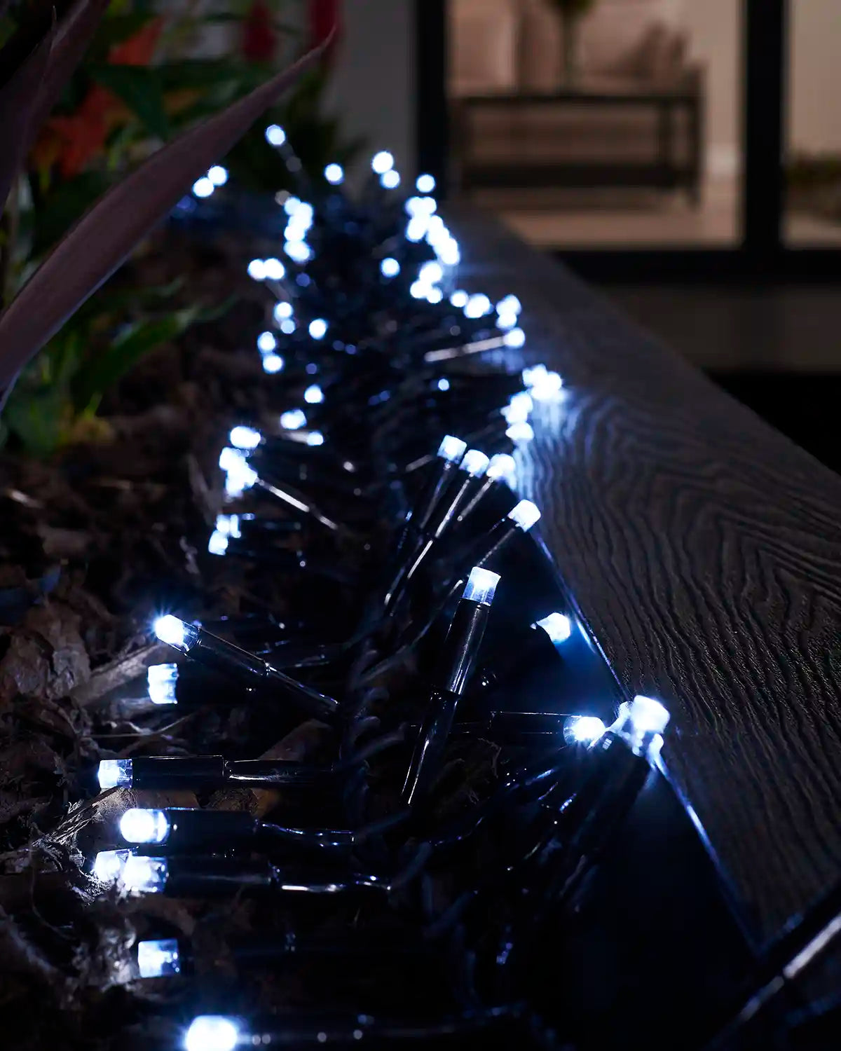 Close-up of white LED cluster lights with black cable in an outdoor planter.