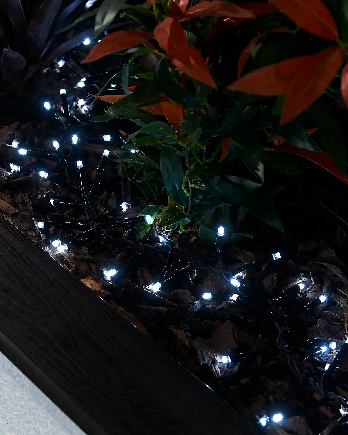White cluster lights arranged around plants in a raised outdoor planter.