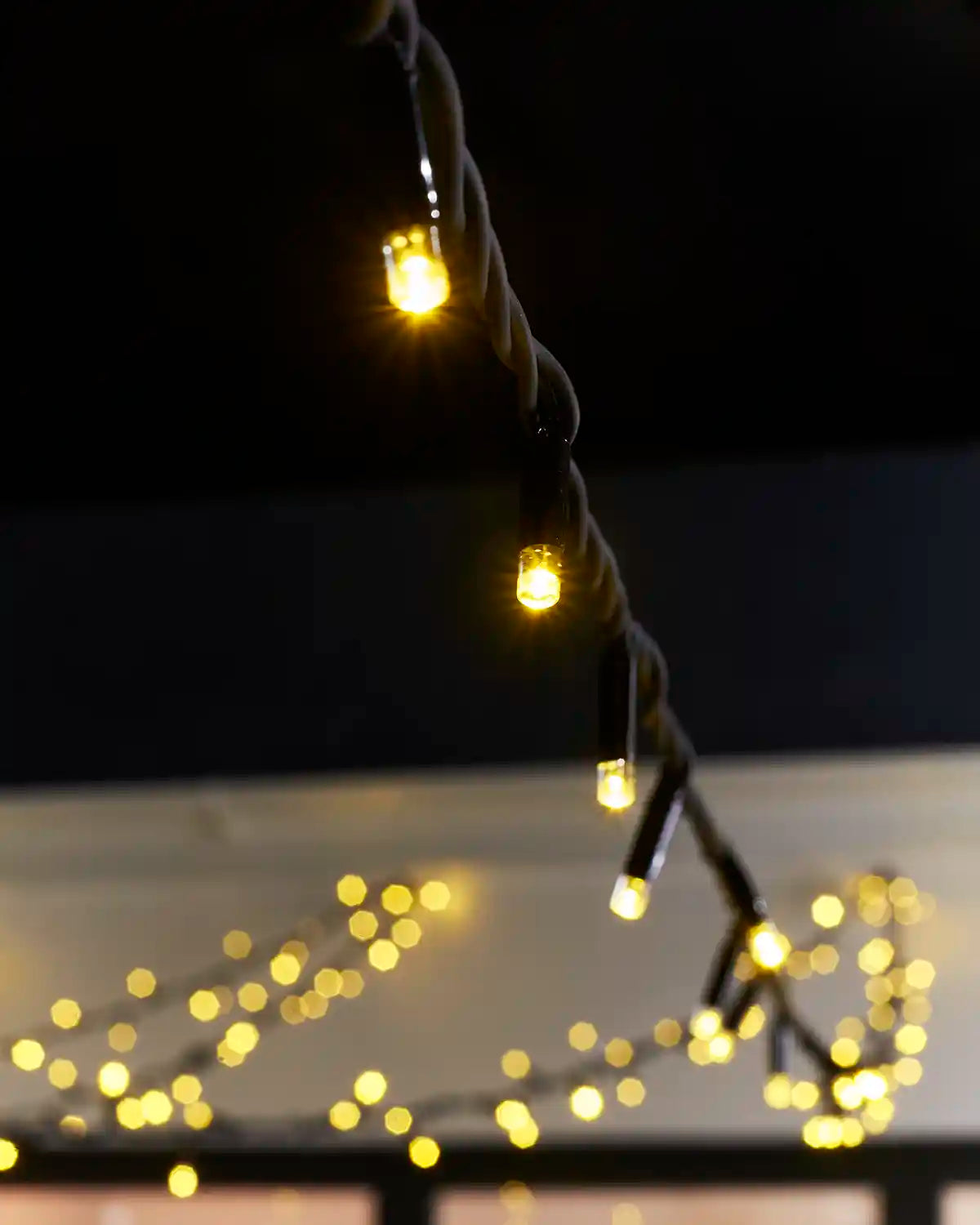 Close-up of gold LED bulbs on black Pro Series string light cable.