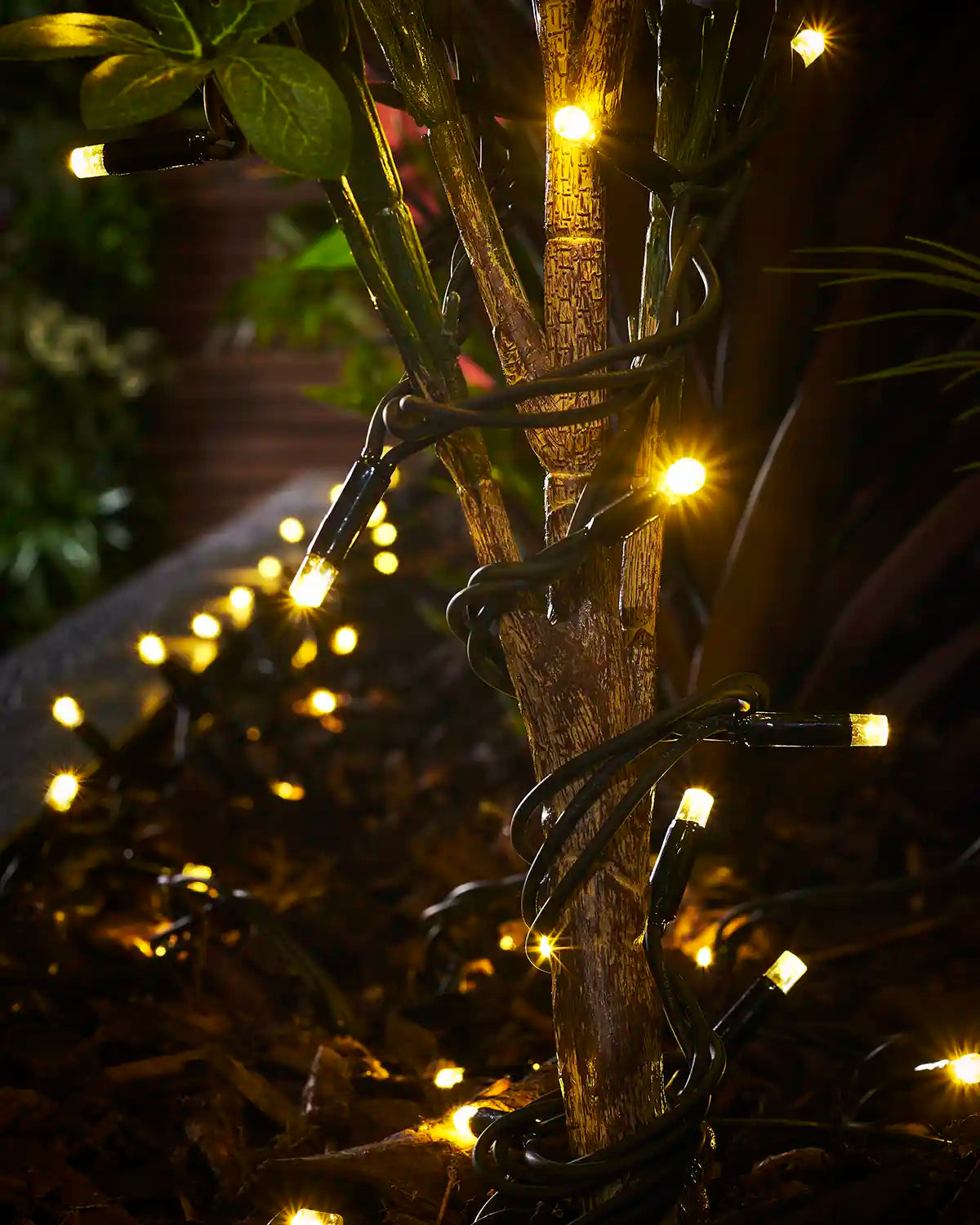 Gold Pro Series string lights with black cable wrapped around an outdoor plant stem.