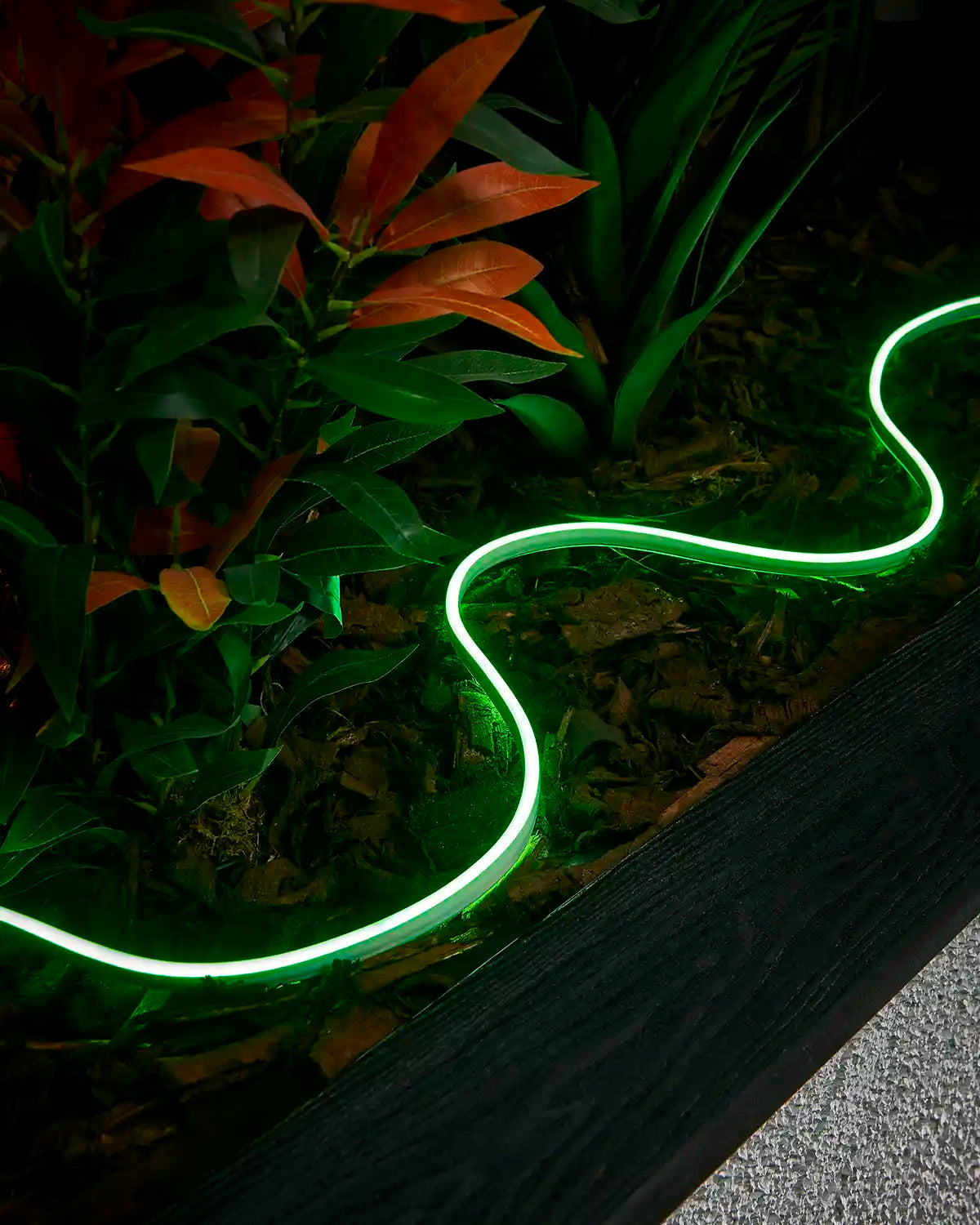 Green Pro Series neon flex arranged in a curved line through an outdoor planter at night.