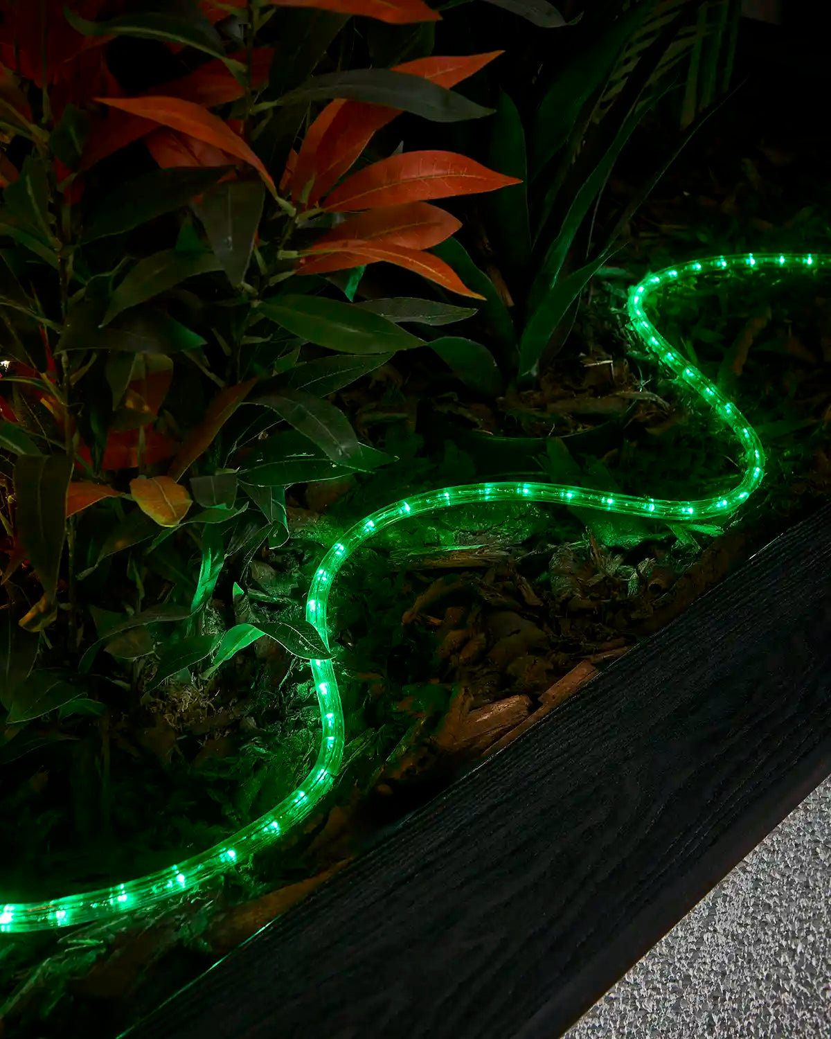Green rope light laid through bark around plants beside a raised garden border.