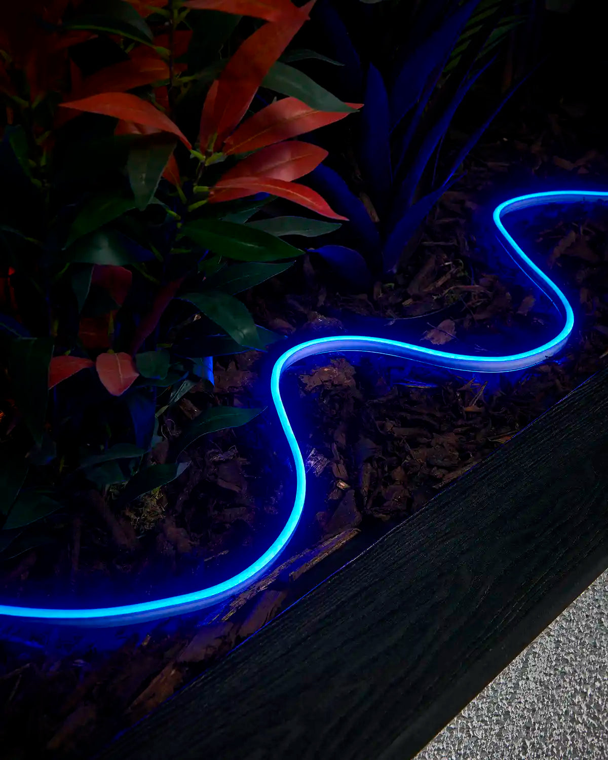Blue Pro Series Neon Flex arranged around plants in a raised outdoor planter.