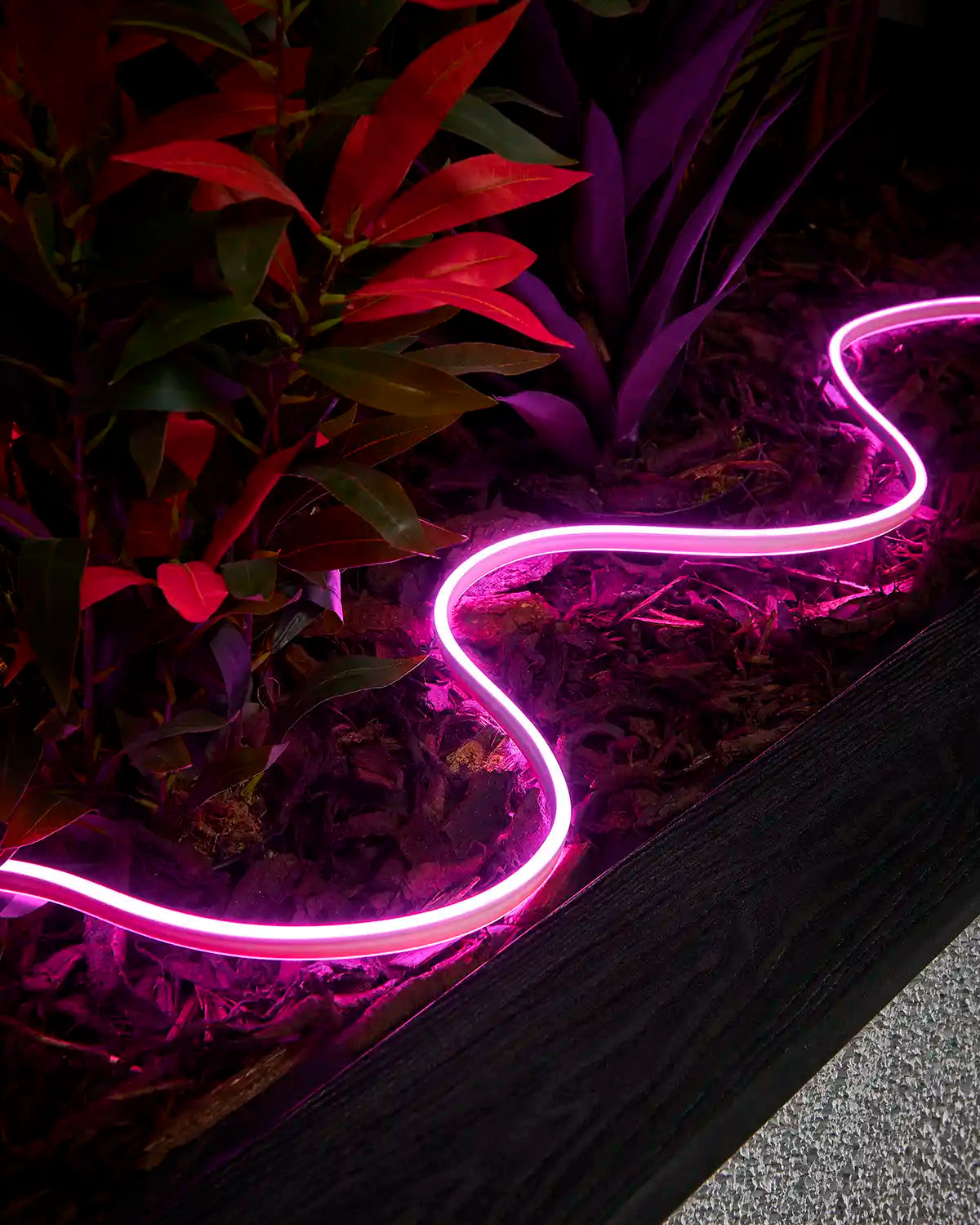 pro-series-made-to-measure-pink-neon-flex-planter-display