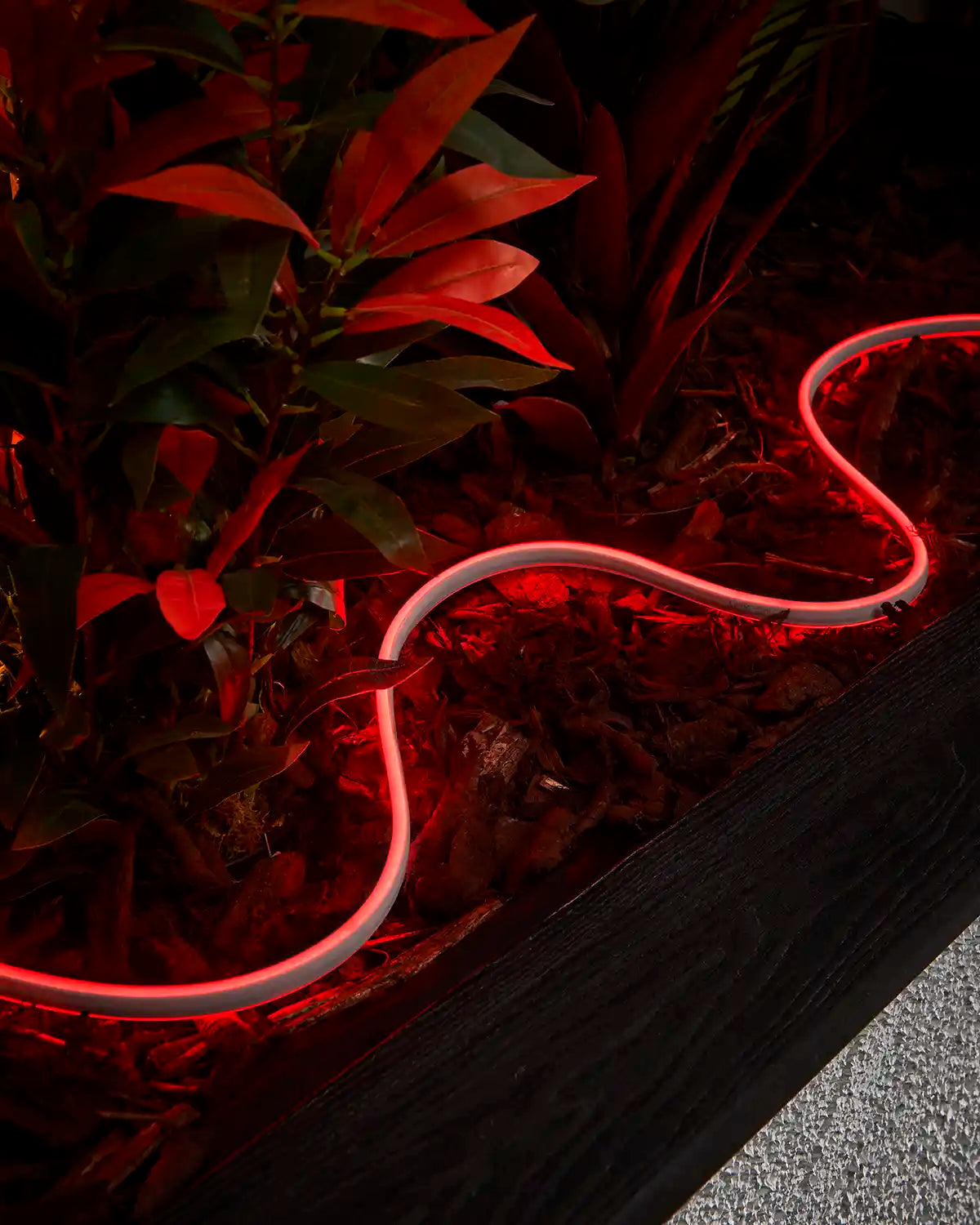 Red Pro Series Neon Flex arranged around plants in a raised outdoor planter.