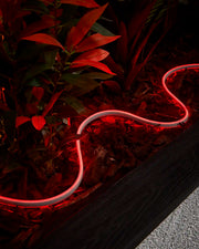 Red Pro Series Neon Flex arranged around plants in a raised outdoor planter.