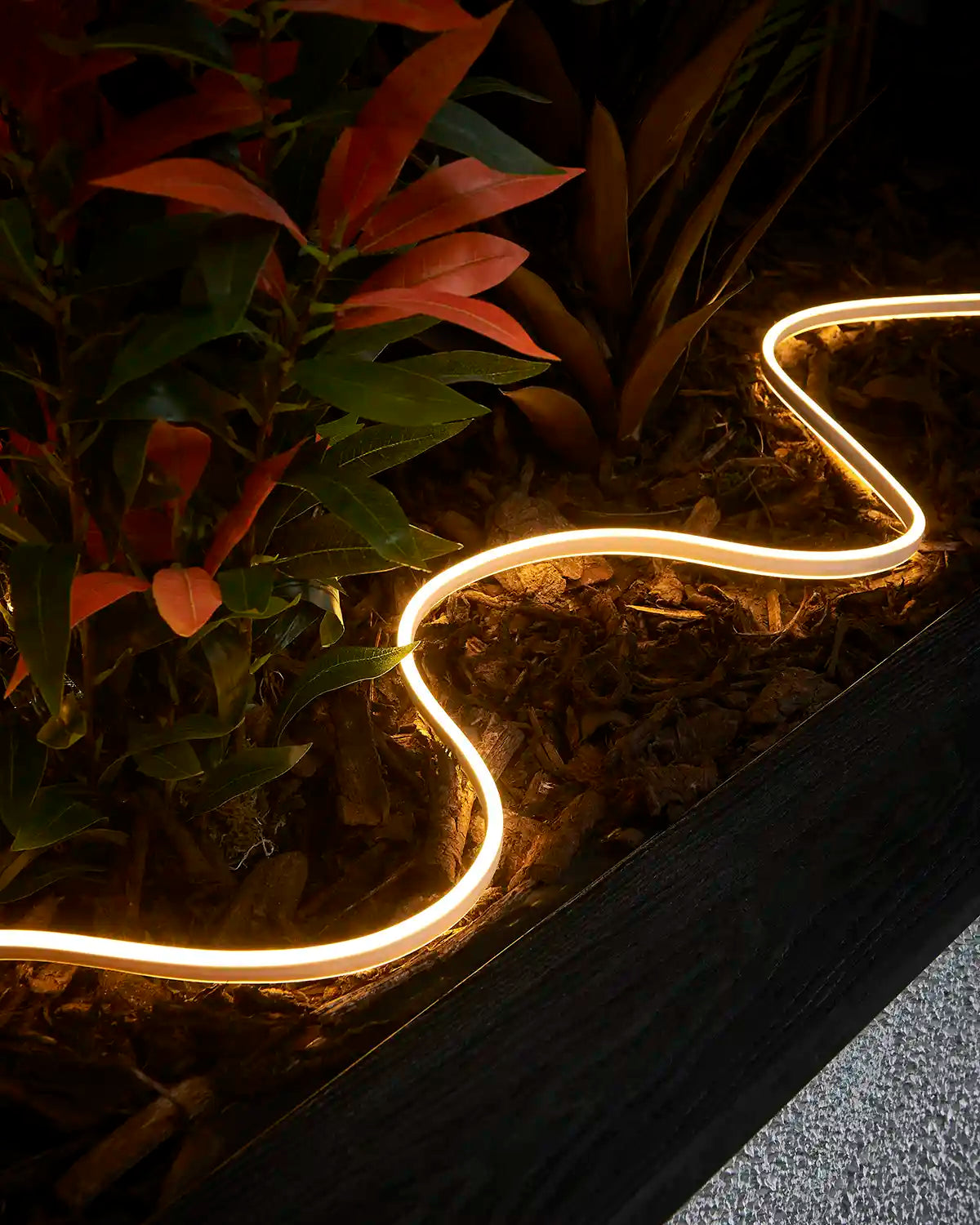 Warm white Pro Series Neon Flex arranged around plants in a raised outdoor planter.