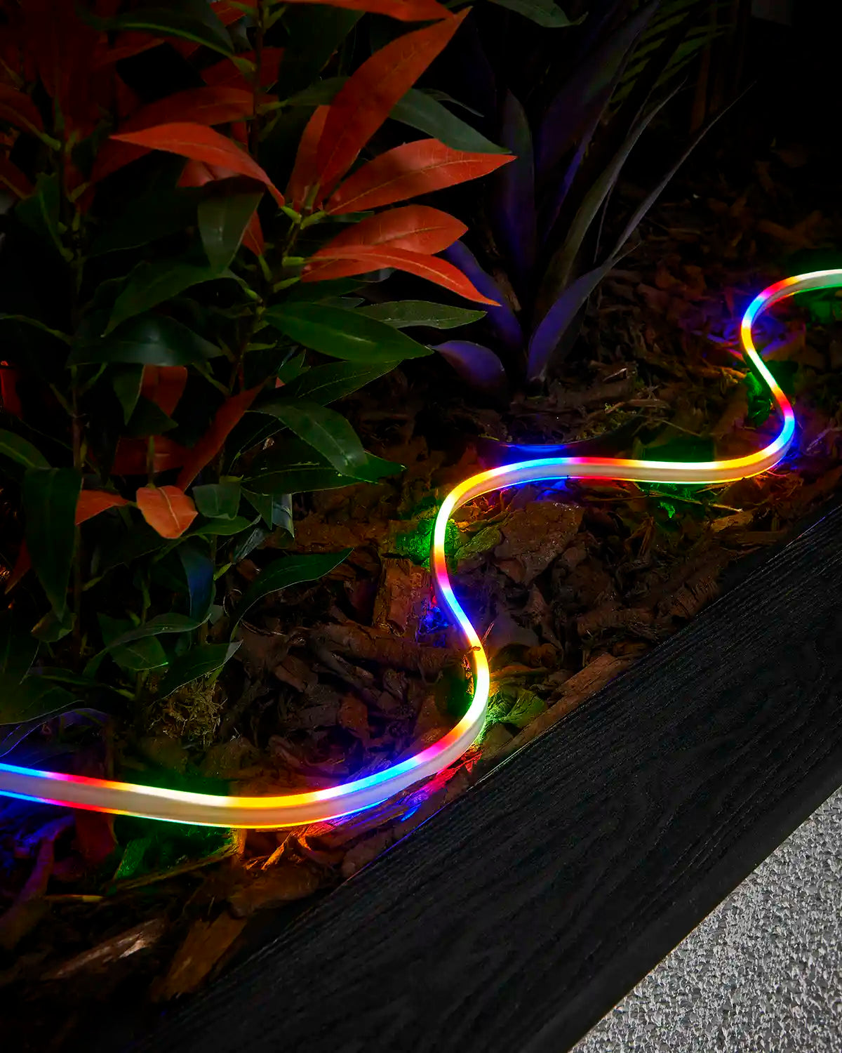 Multi colour Pro Series neon flex arranged in a curved line through an outdoor planter at night.