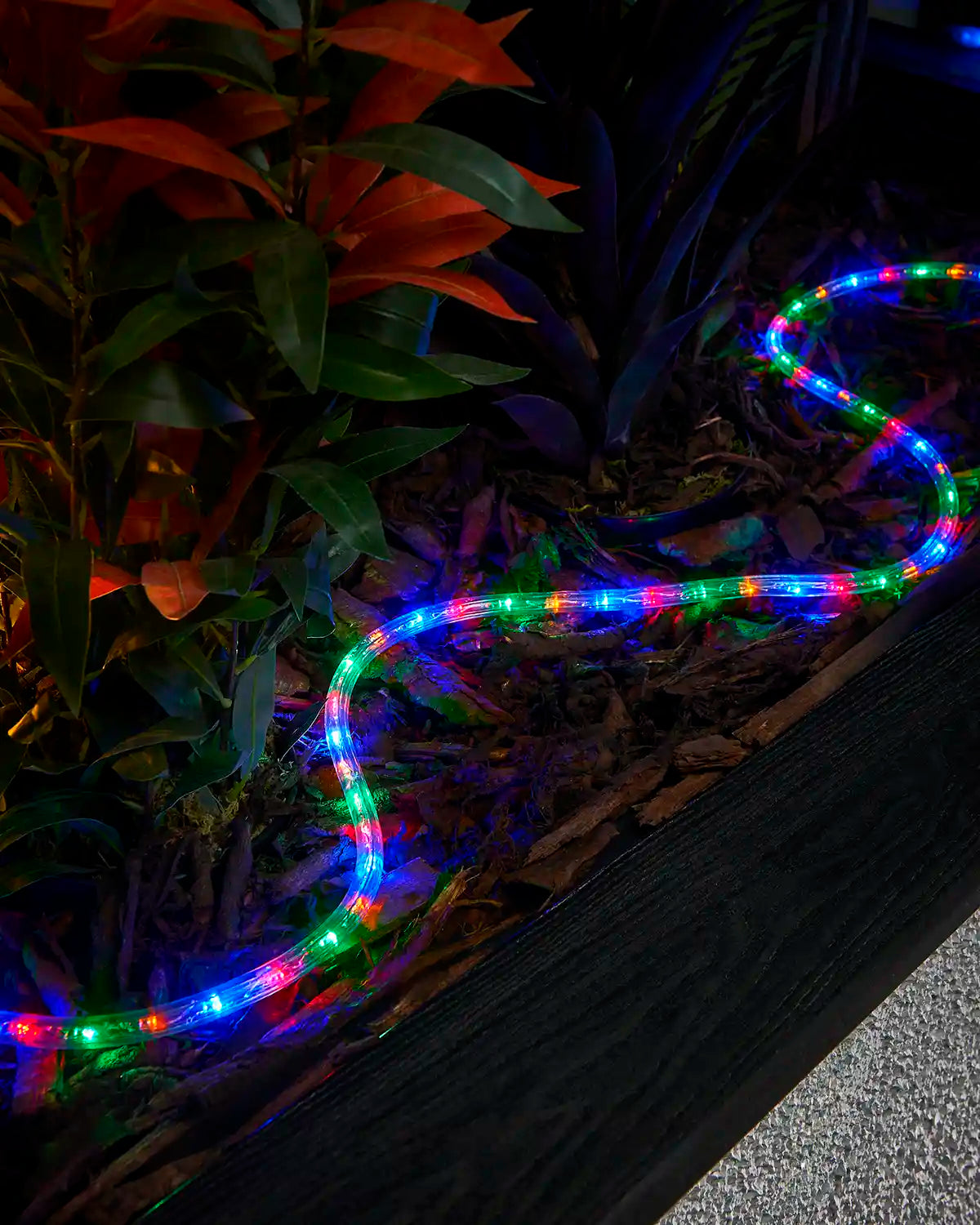 Multi colour rope light laid through bark around plants beside a raised garden border.