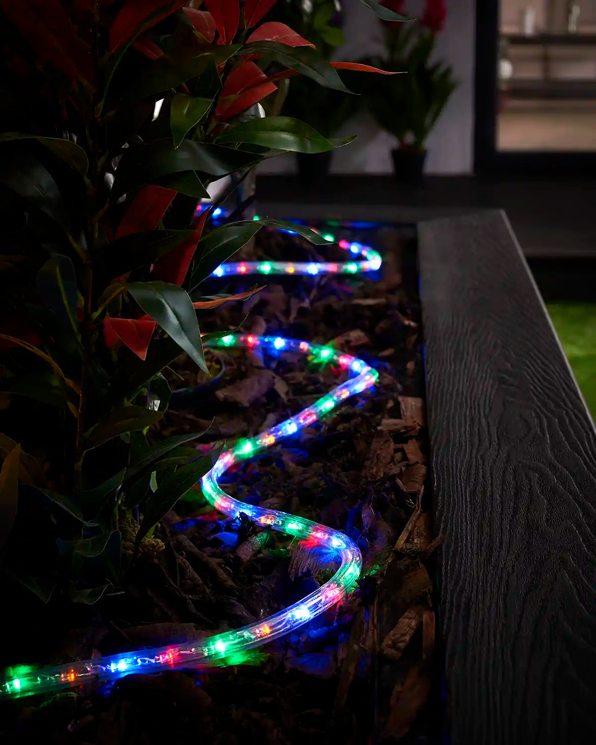 Multi colour Pro Series rope light arranged in a curved line through an outdoor planter at night.