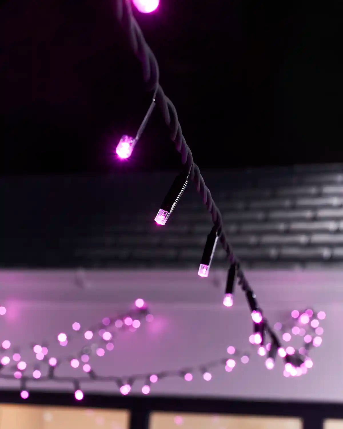 Close-up of pink LED bulbs on black Pro Series string light cable.