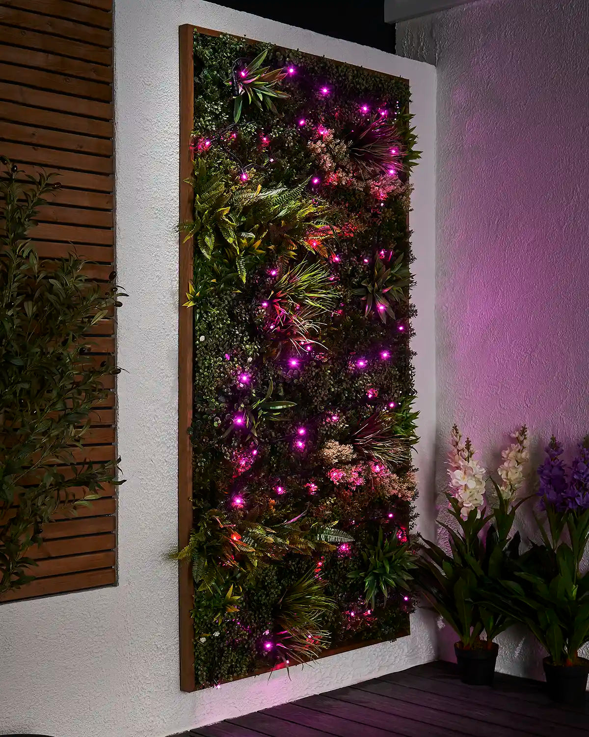 Pink Pro Series string lights displayed across a green outdoor living wall.