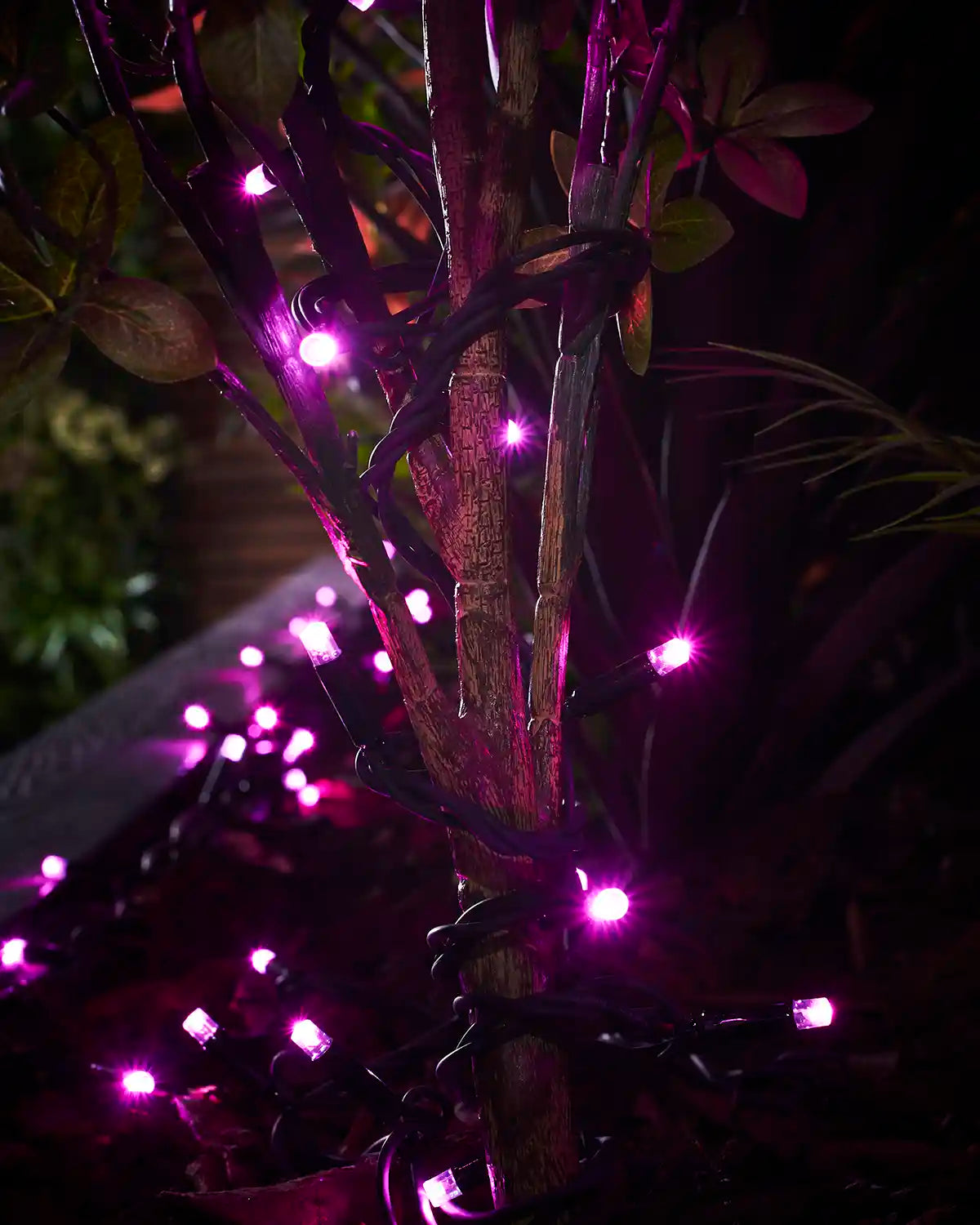 Pink Pro Series string lights with black cable wrapped around an outdoor plant stem.