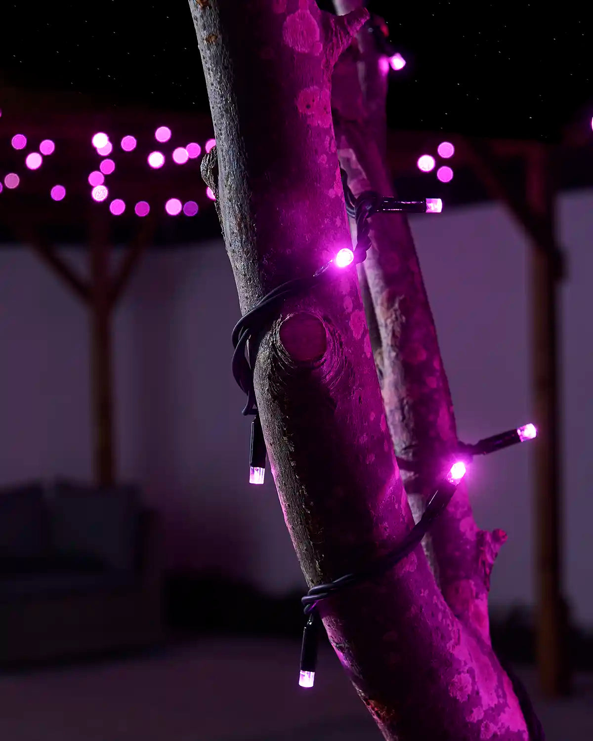 Pink LED string lights glowing against a tree branch with lights in the background.