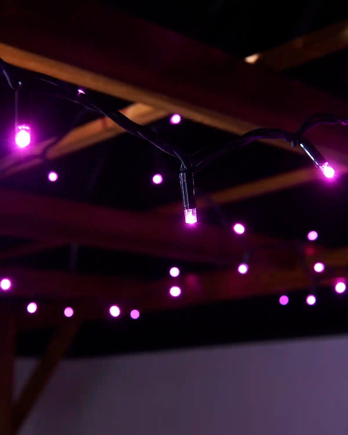 Close-up of pink LED string lights hanging from a black cable outdoors.