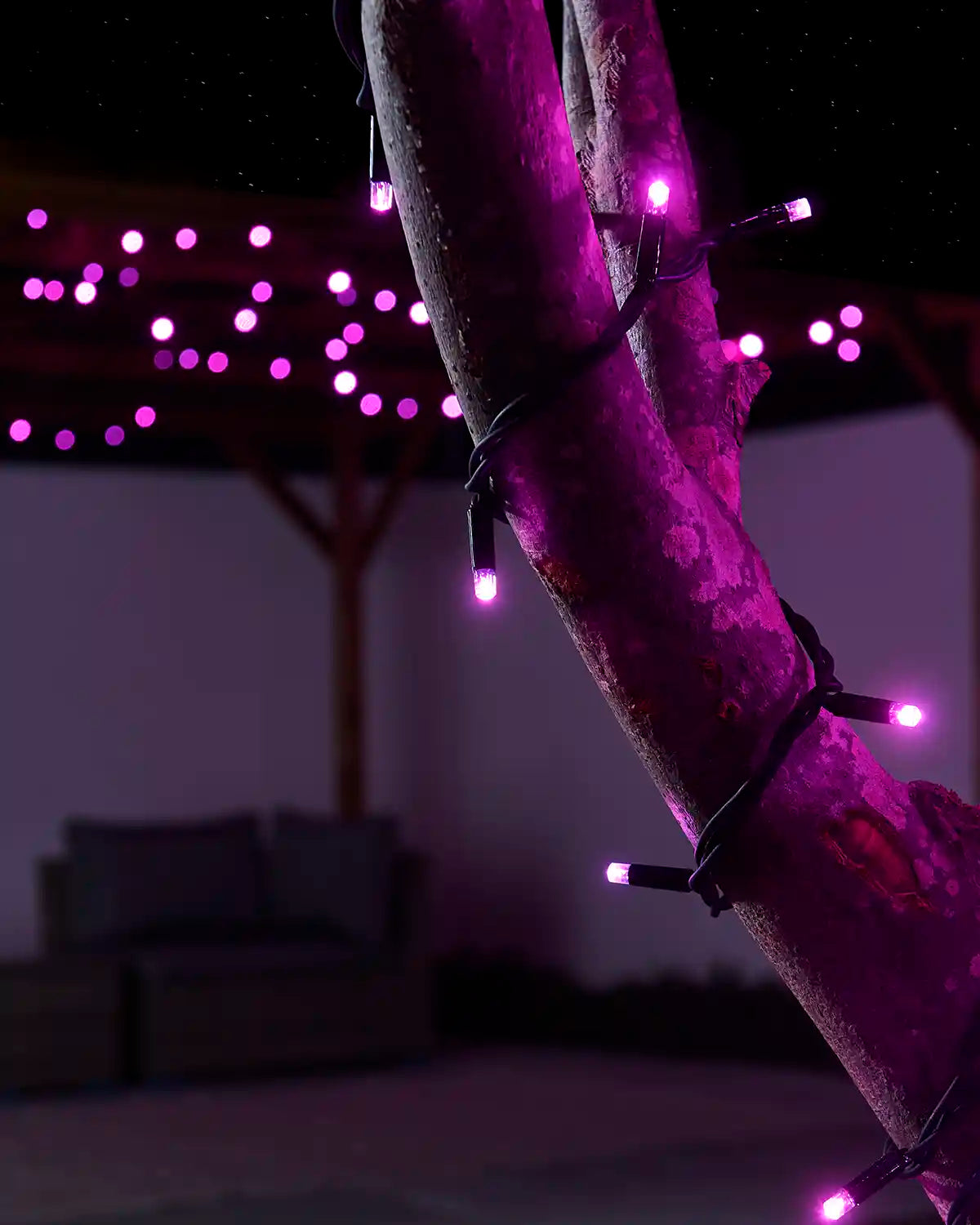 Close-up of pink LED string lights wrapped around a tree branch.