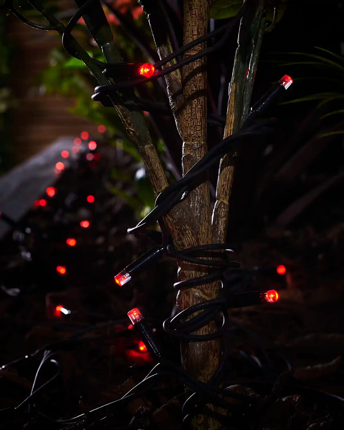 Red Pro Series string lights with black cable wrapped around an outdoor plant stem.