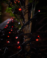 Red Pro Series string lights with black cable wrapped around an outdoor plant stem.