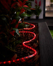 Red Pro Series rope light arranged in a curved line through an outdoor planter at night.