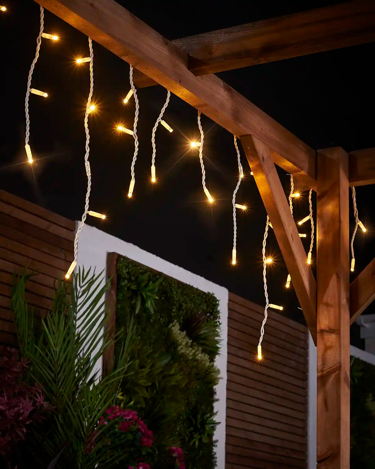Warm white icicle lights hanging from a wooden pergola above garden plants.