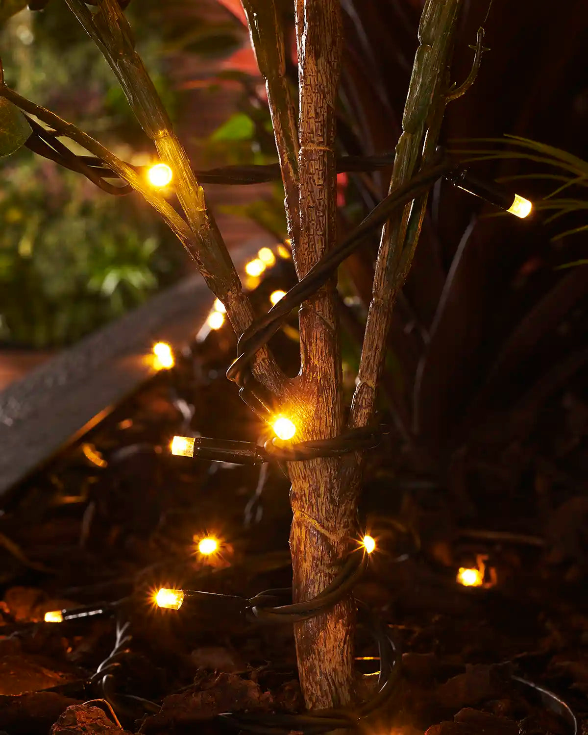 Warm white Pro Series string lights with black cable wrapped around an outdoor plant stem.