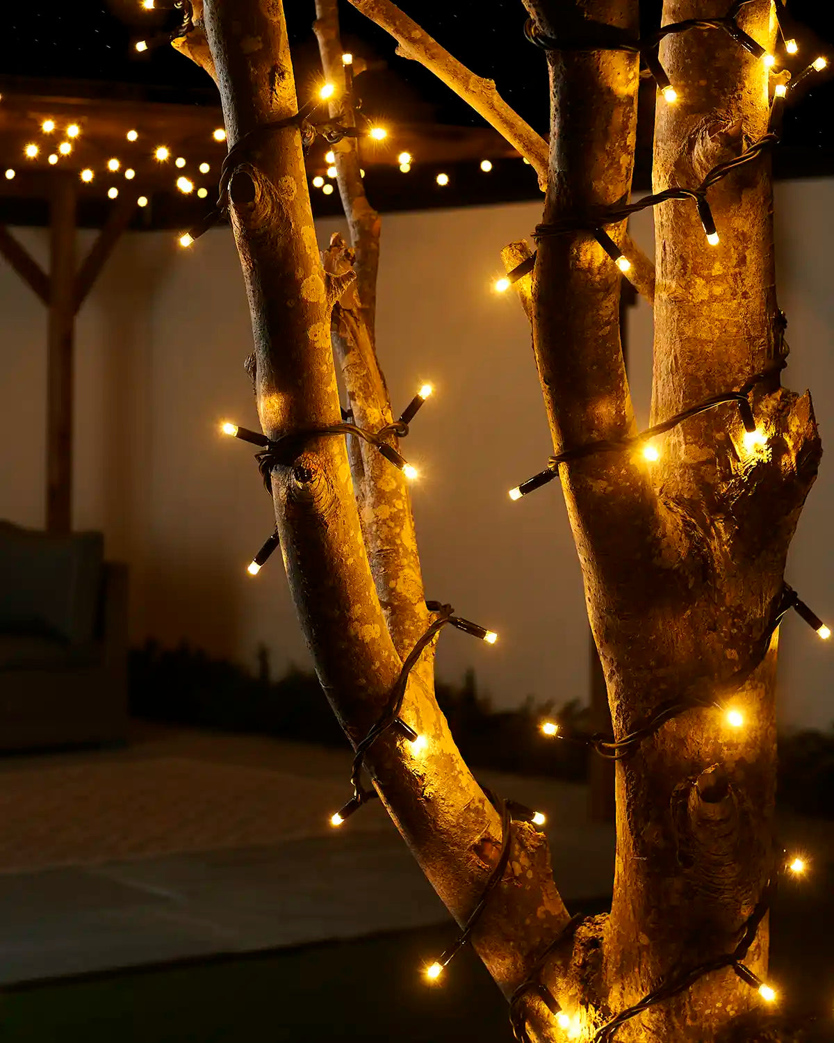 Warm white Pro Series string lights wrapped around tree trunks in an outdoor setting.