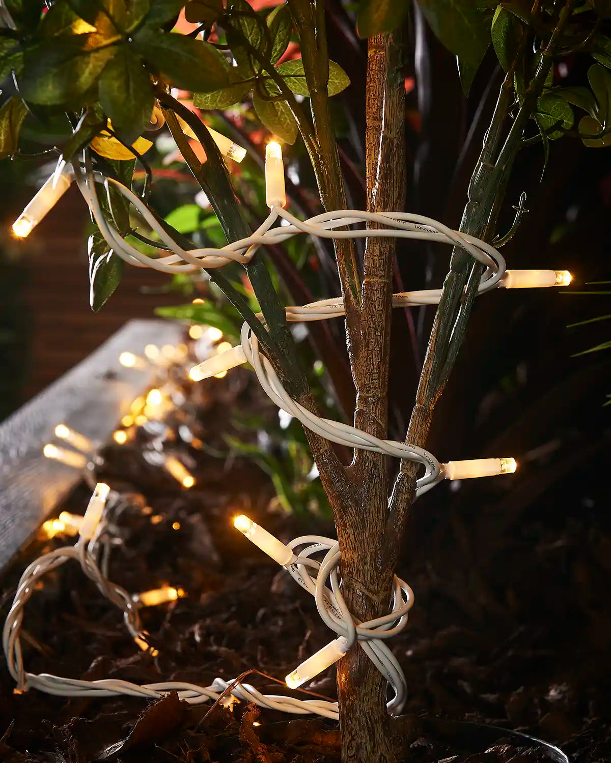 Warm white Pro Series string lights with white cable wrapped around a plant stem outdoors.