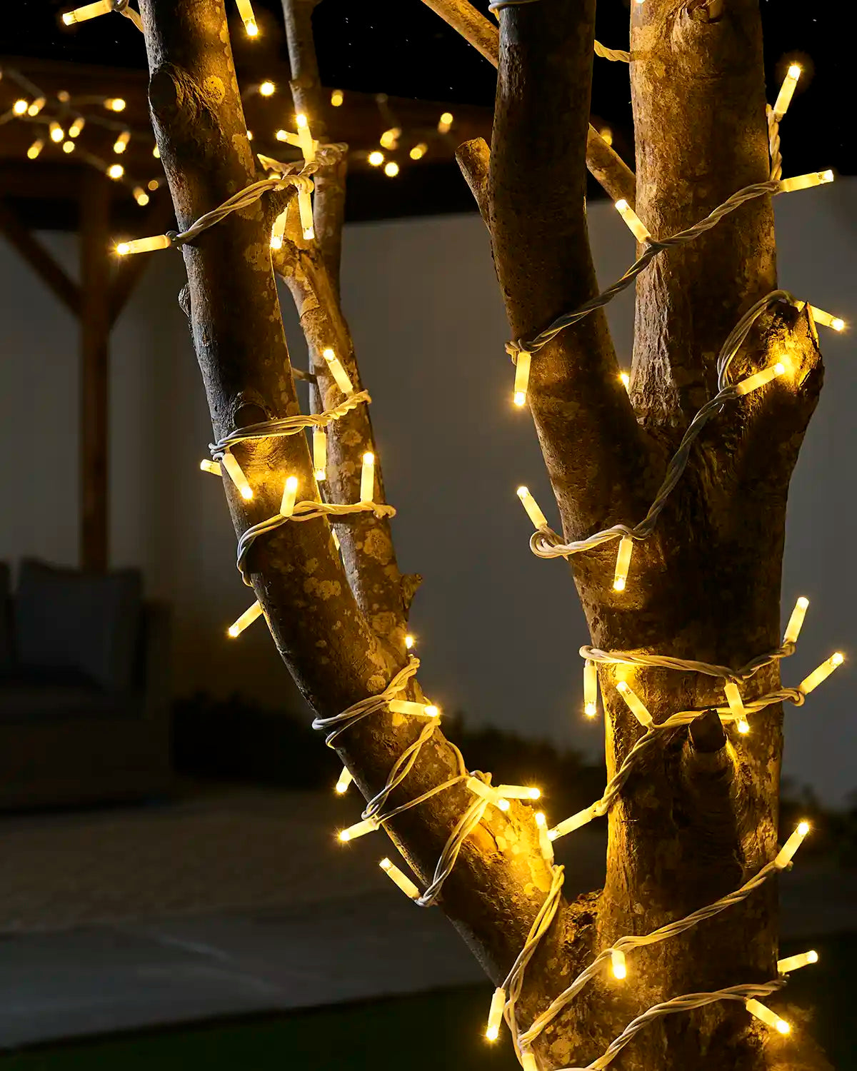 Warm white Pro Series string lights with a white cable wrapped around tree trunks outdoors.