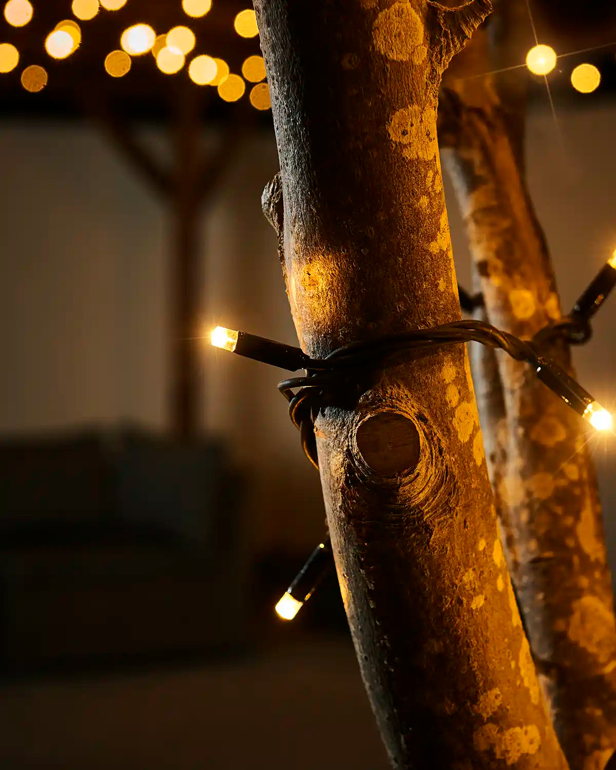 Warm white twinkle LED string lights glowing against a tree branch on a black cable.