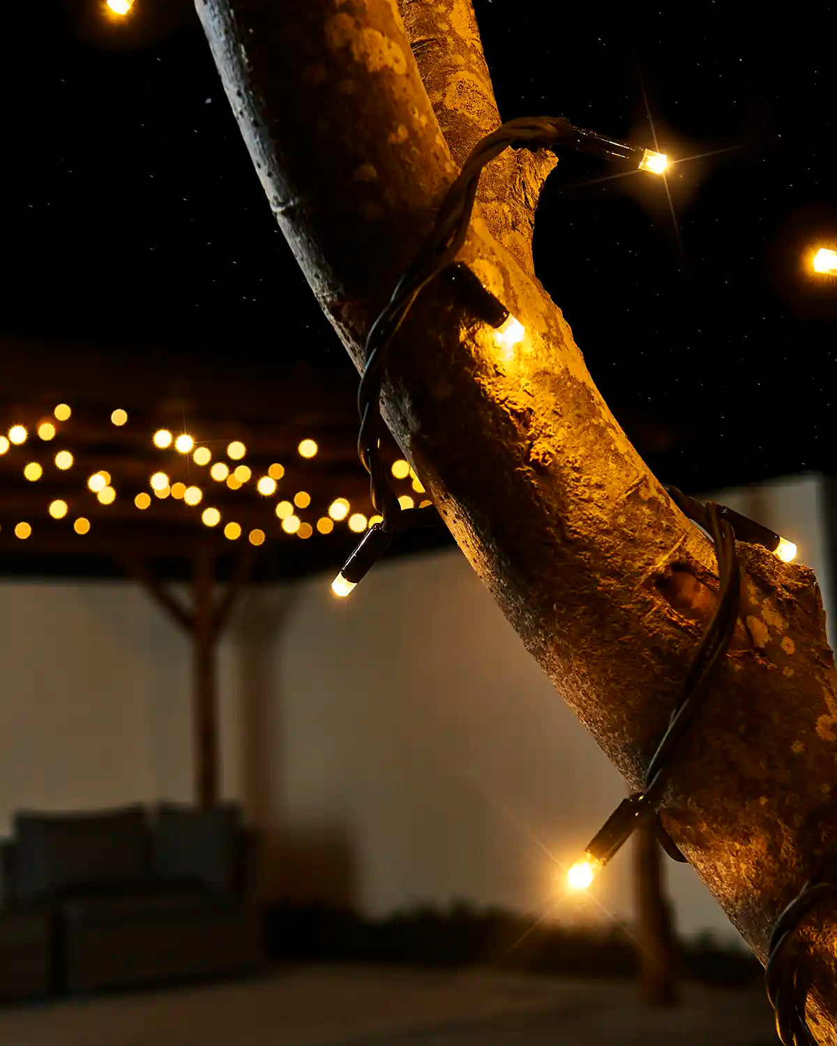 Close-up of warm white twinkle LED string lights with a black cable wrapped around a tree branch.