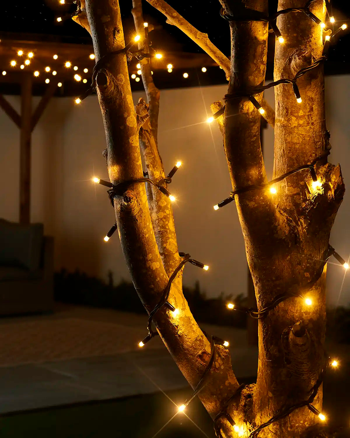 Warm white Pro Series twinkle string lights with a black cable wrapped around tree trunks outdoors.