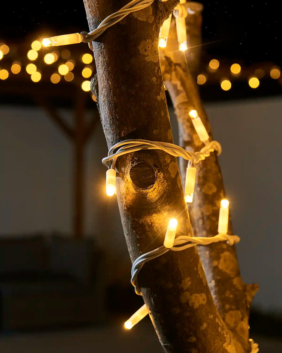 Warm white twinkle LED string lights glowing on a tree branch with a white cable.