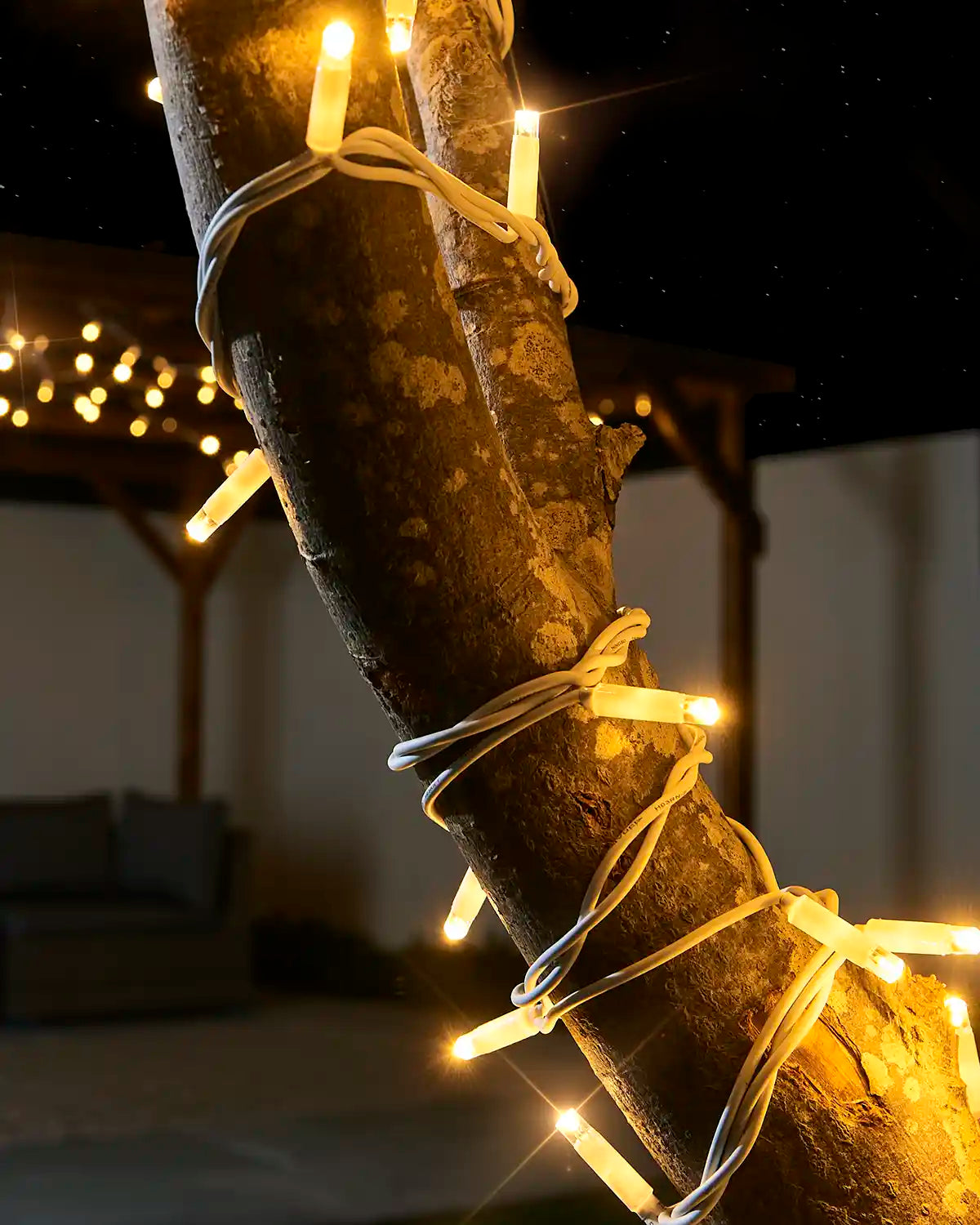 Close-up of warm white twinkle LED string lights with a white cable wrapped around a tree branch.