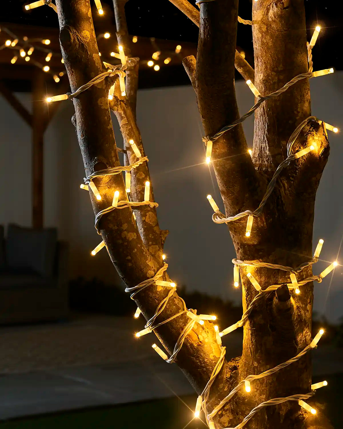 Warm white Pro Series twinkle string lights with a white cable wrapped around tree trunks outdoors.