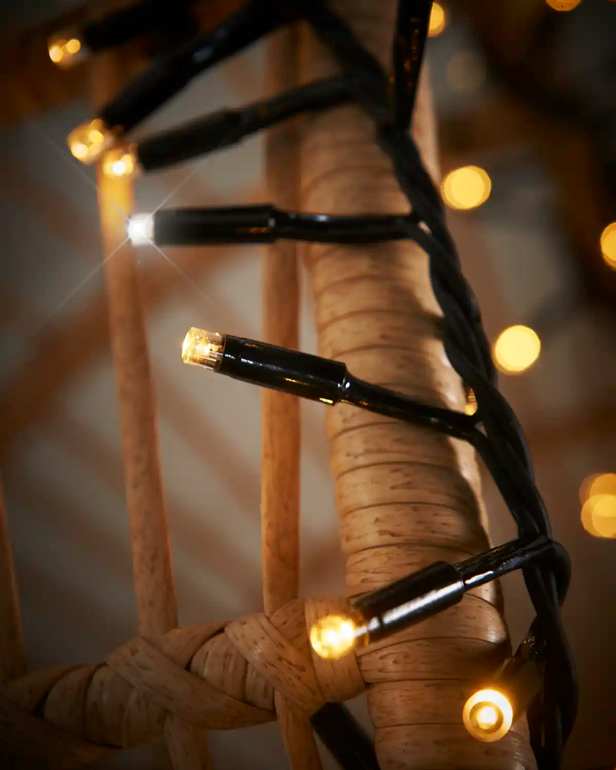 Close-up of mixed warm white and white cluster lights on black cable.